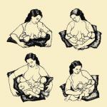 Основные и главные правила кормления грудью грудного ребенка Грудью кормлю а